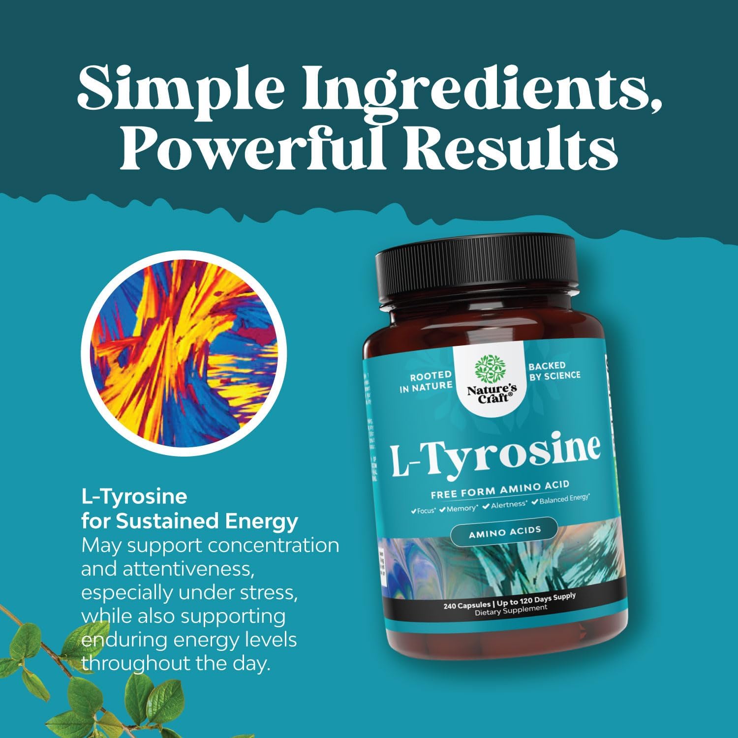 Energy and Focus Support Bundle: Free Form L Tyrosine Capsules + Lion's Mane Mushroom Brain Booster Nootropic Supplement