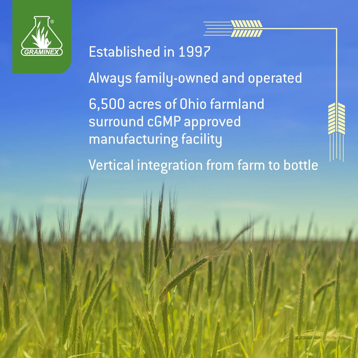 Energy-Boosting Barley Grass Tablets with Antioxidants - 240 Tablets - Superfood Supplement with Multivitamins, Minerals, Amino Acids