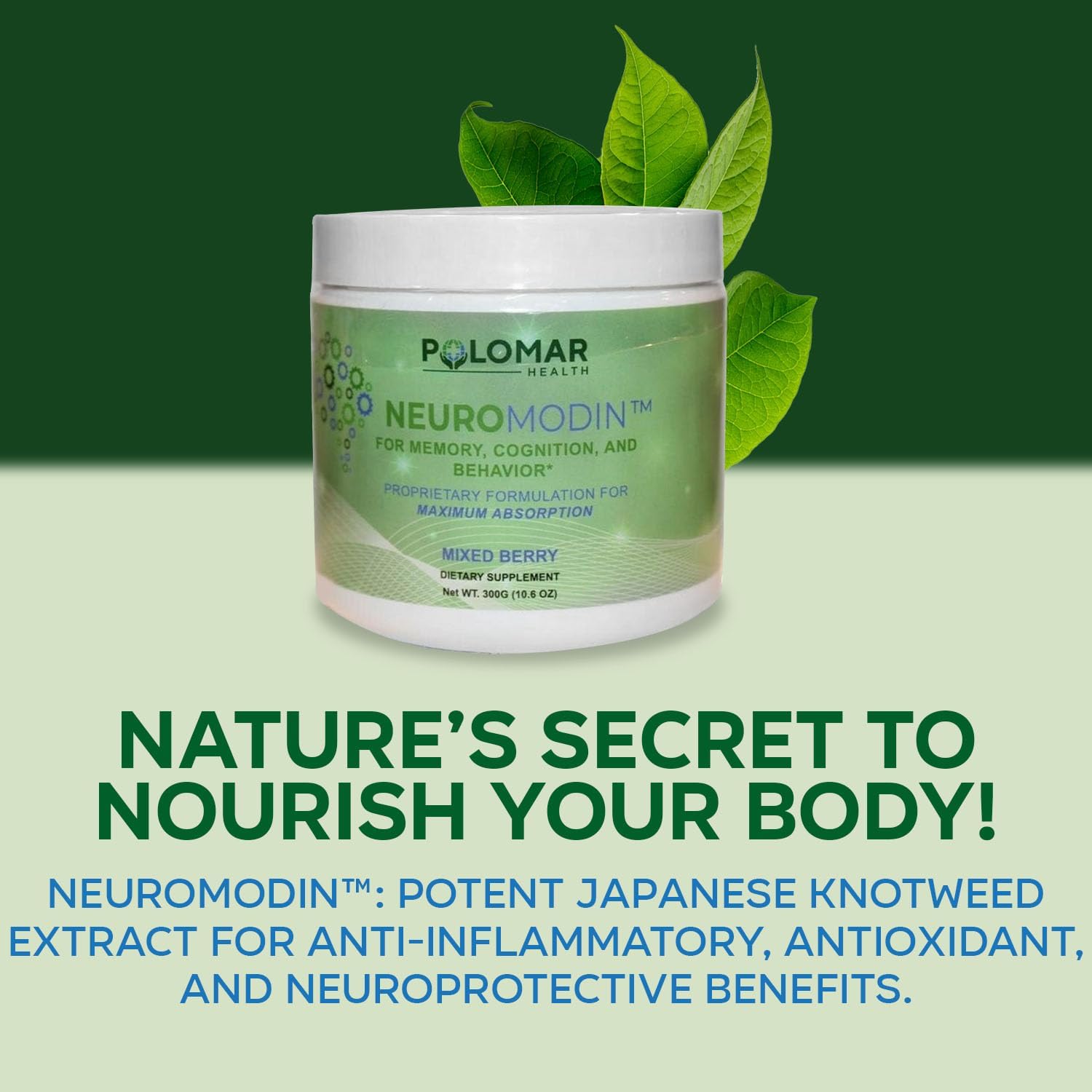 Enhanced Memory & Focus Supplement with Neuromodin Piperine Powder & Japanese Knotweed for Brain Health & Cognition (300mg)