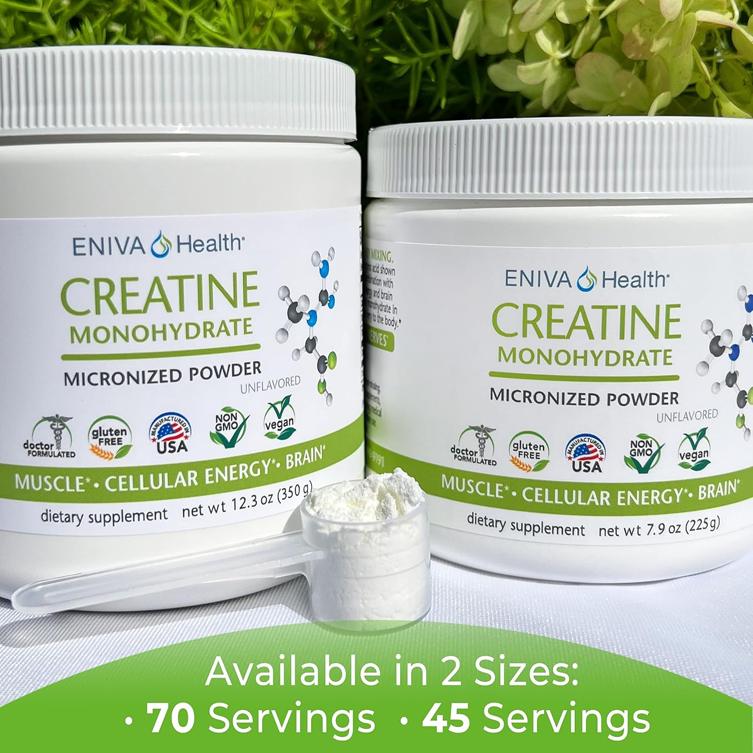 Eniva Health Creatine Monohydrate Powder - 5g, 7.9 oz - Muscle Support & Growth - Cellular Energy & Focus - Pharmaceutical Grade - 45 Servings