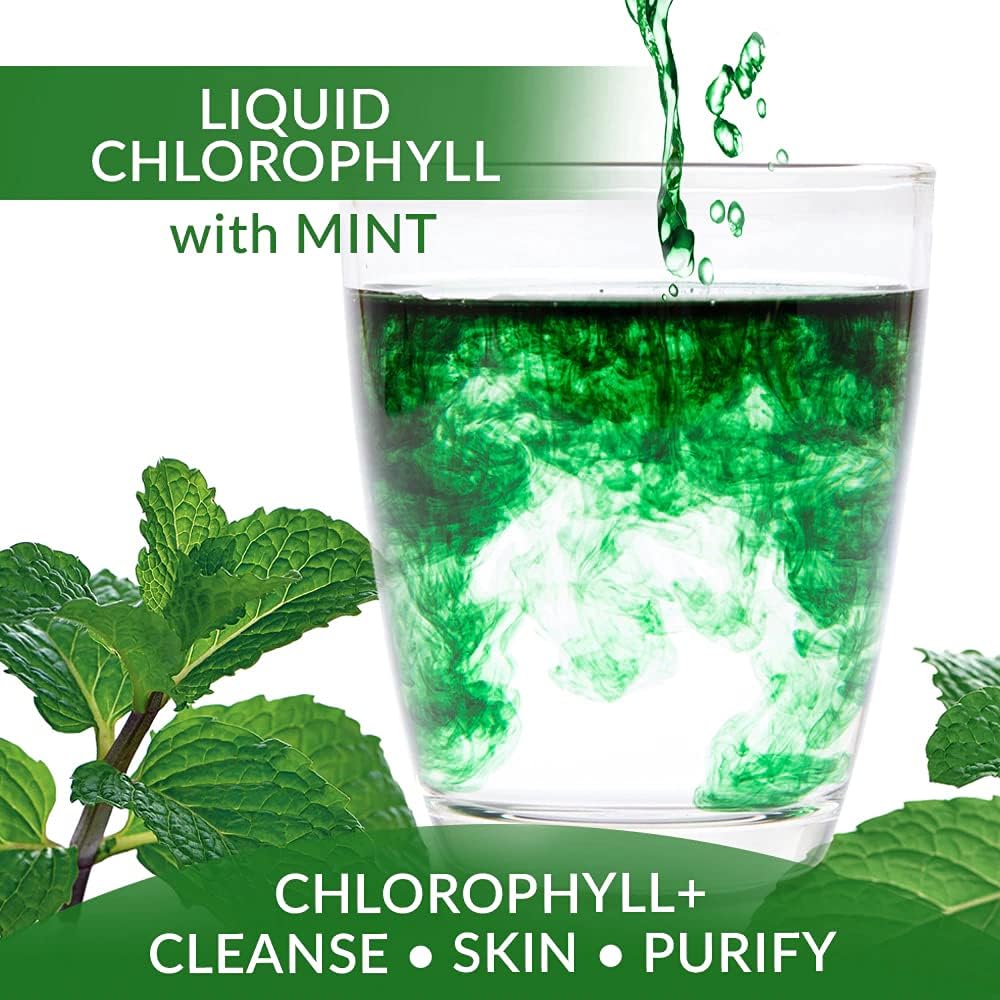 Eniva Health Liquid Chlorophyll Super Greens Mint Flavor - 24K MG with Prebiotic & L-Glutamine for Skin, Immunity, Energy, Detox, Gut Health - Vegan, Gluten & Alcohol-Free - 48 Servings, USA Made