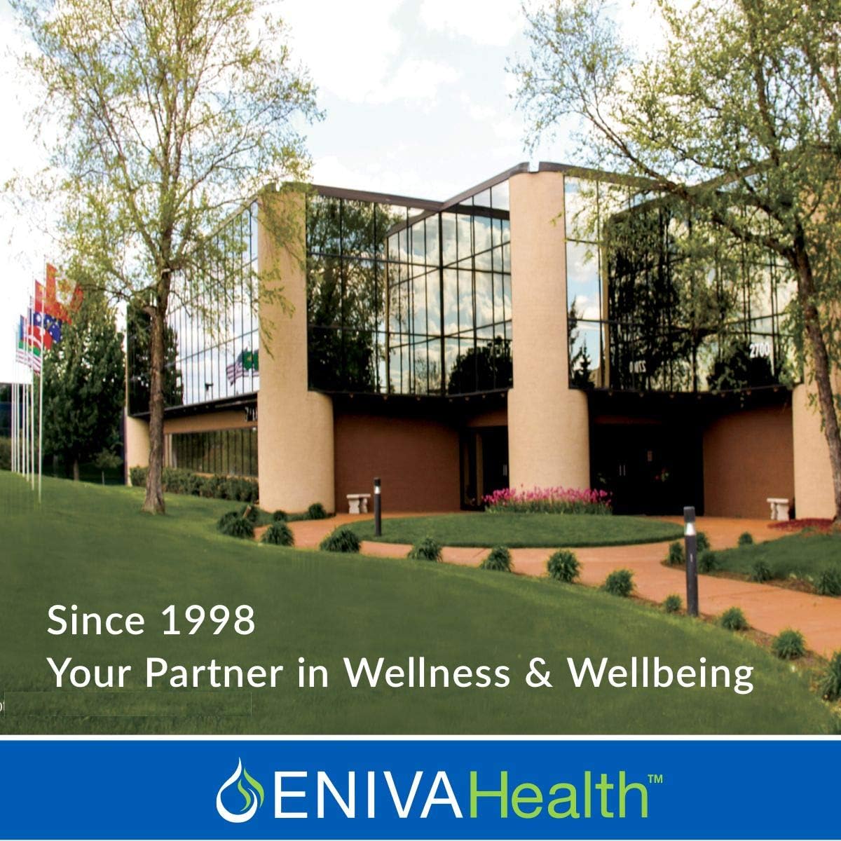 Eniva Vibe Original Liquid Mineral Supplement - Full Spectrum Multivitamin - Whole Body Nutrition - Doctor Formulated - 32 oz