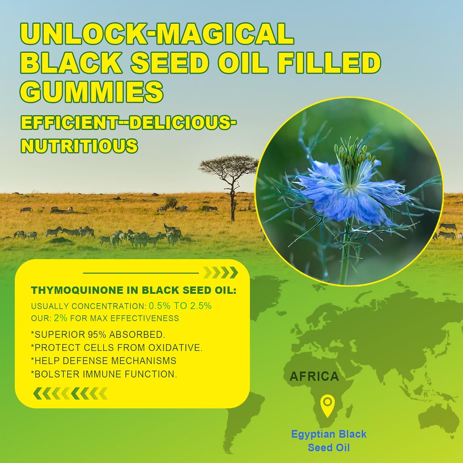 EnvyCure Black Seed Oil Gummies with Chlorophyll, Biotin, Collagen, Manuka Honey - Skin, Hair, Nails Health, Digestive Support - Sugar Free