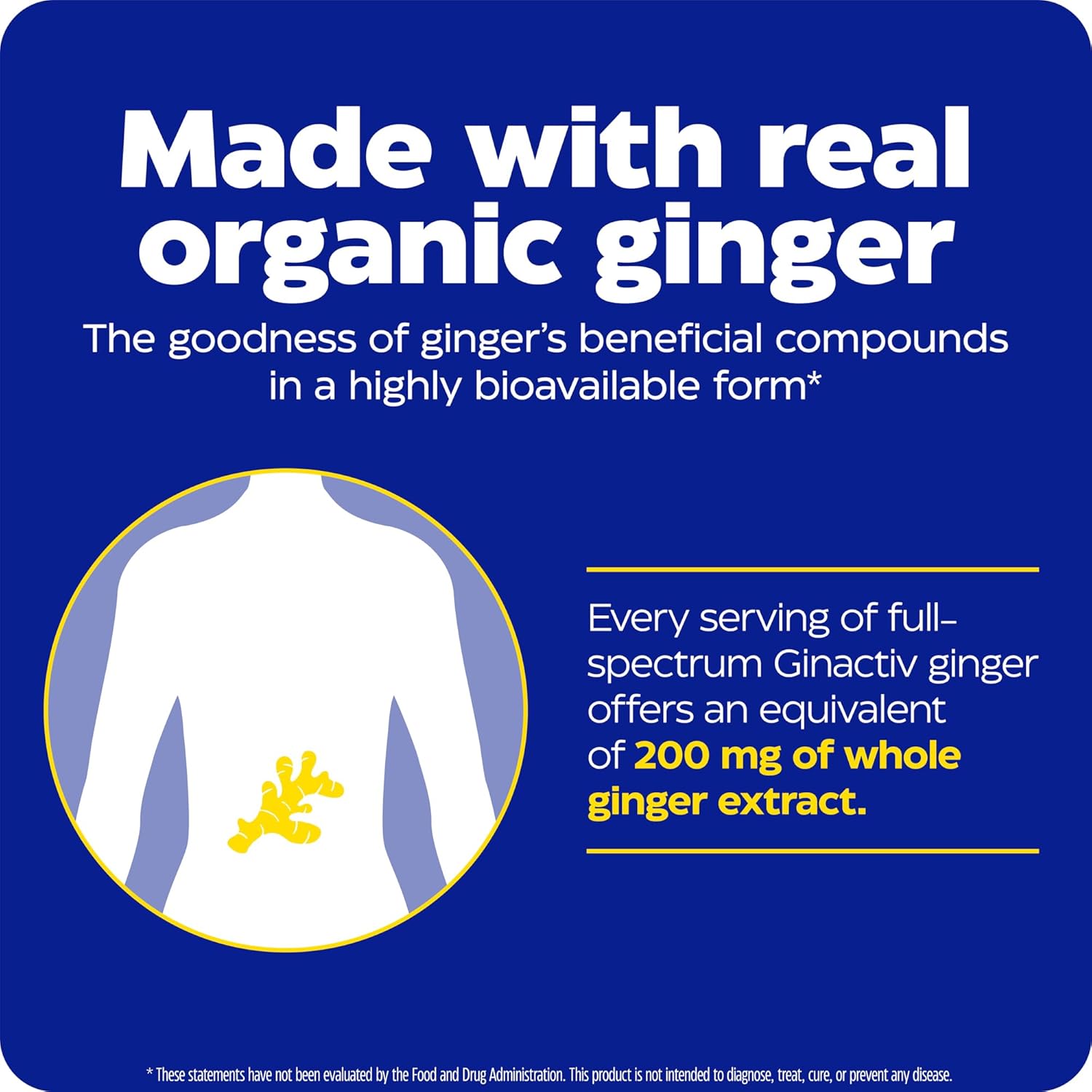 Enzymedica Ginger and Vitamin B6 Gummies - High Potency Support for Nausea and Indigestion - 60 Count