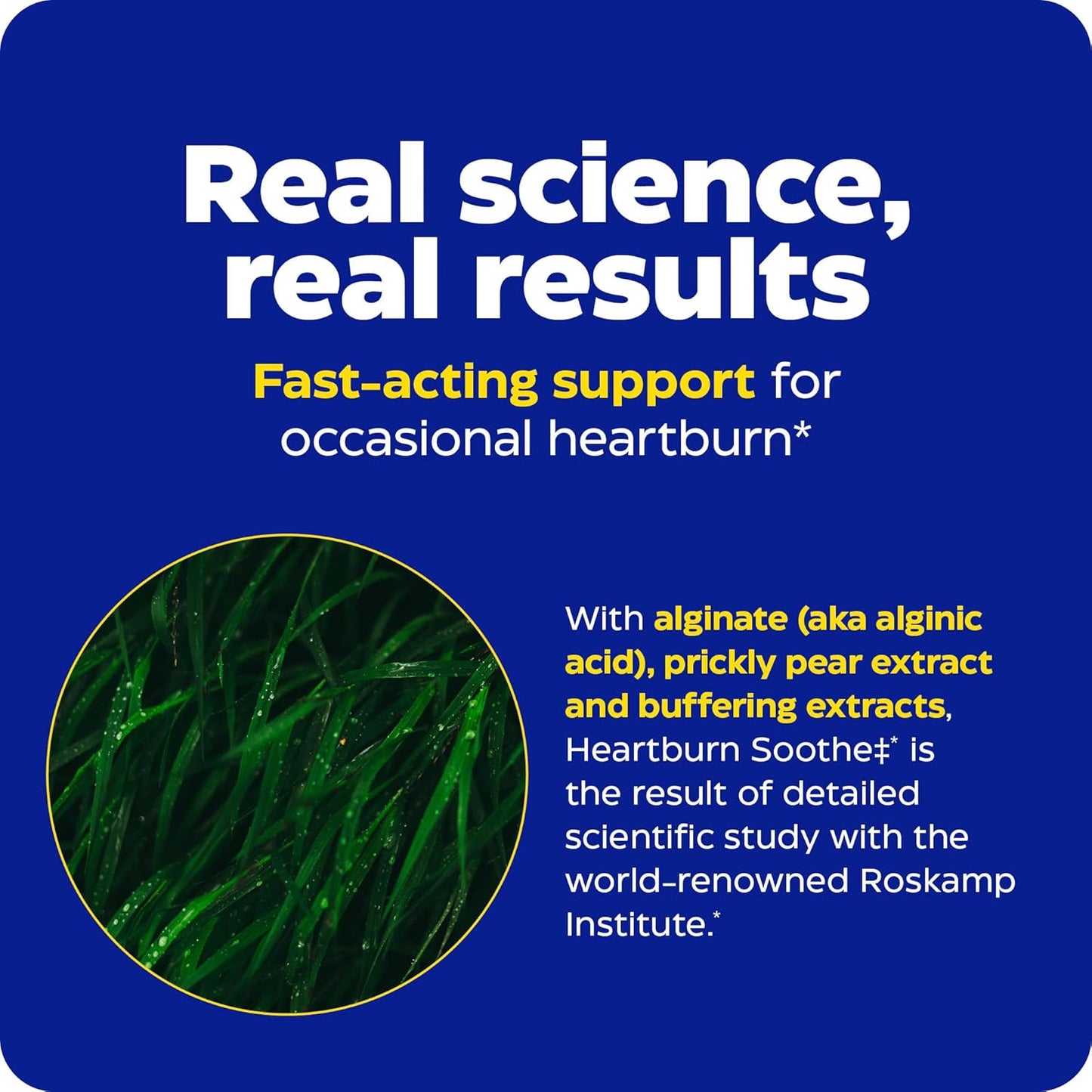 Enzymedica Heartburn Soothe Chews - Digestive Aid, Fast-Acting, Vanilla Orange Flavor - 90 Chews (45 Servings)