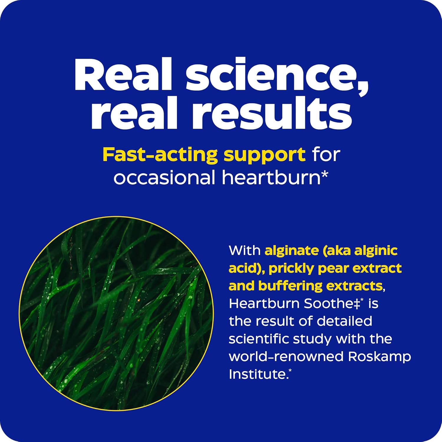 Enzymedica Heartburn Soothe Chews - Digestive Aid, Fast-Acting, Vanilla Orange Flavor - 90 Chews (45 Servings)