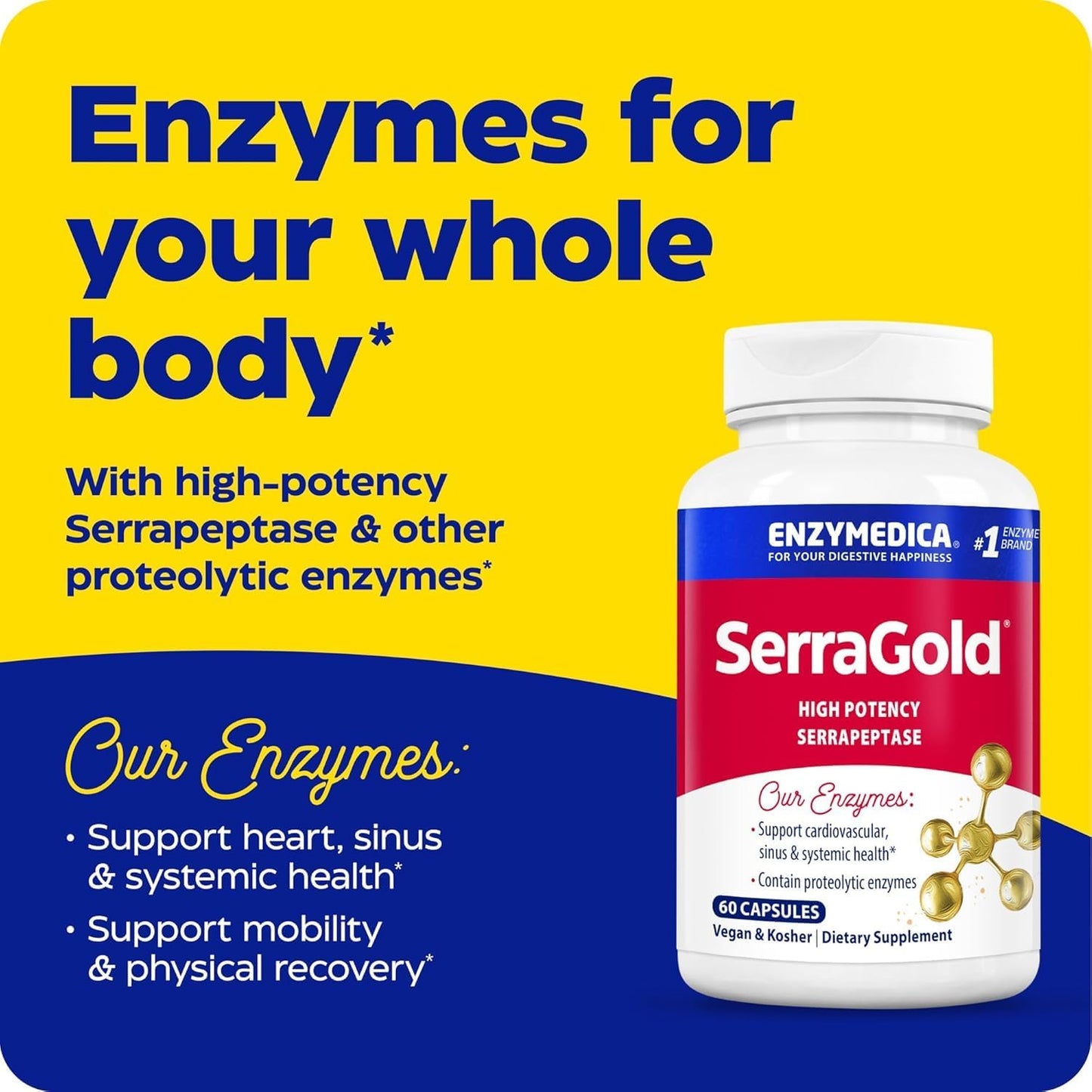 Enzymedica SerraGold Supplement for Recovery, Immune & Cardiovascular Health - 60 Count