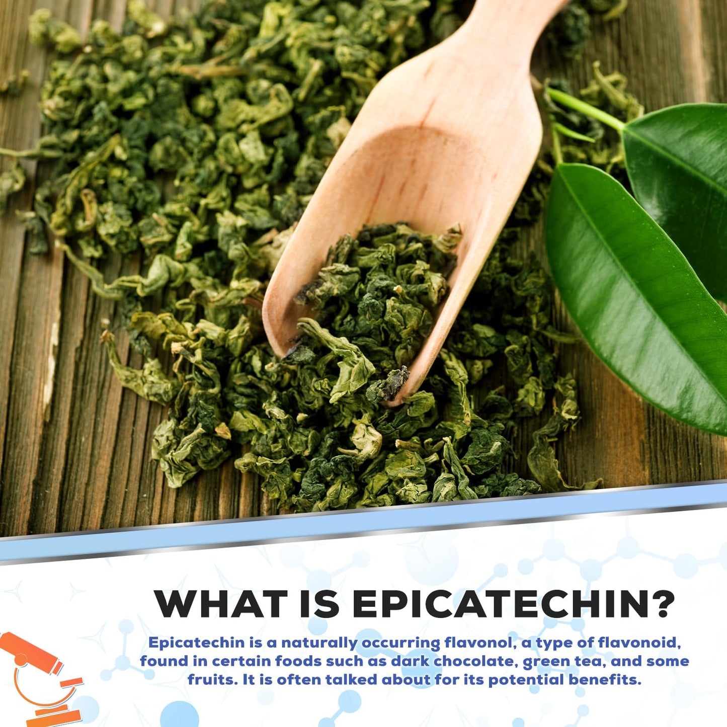 Epicatechin Extract Capsules 250mg | 180 Count | Promotes Lean Muscle Growth & Nitric Oxide Production