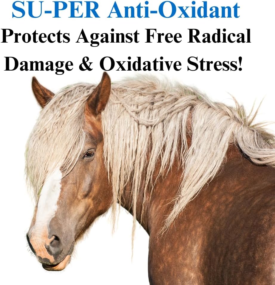 Equine Antioxidant Supplement - Supports Horse Health, Fights Pollutants & Oxidative Stress - 20lb, 5 Month Supply
