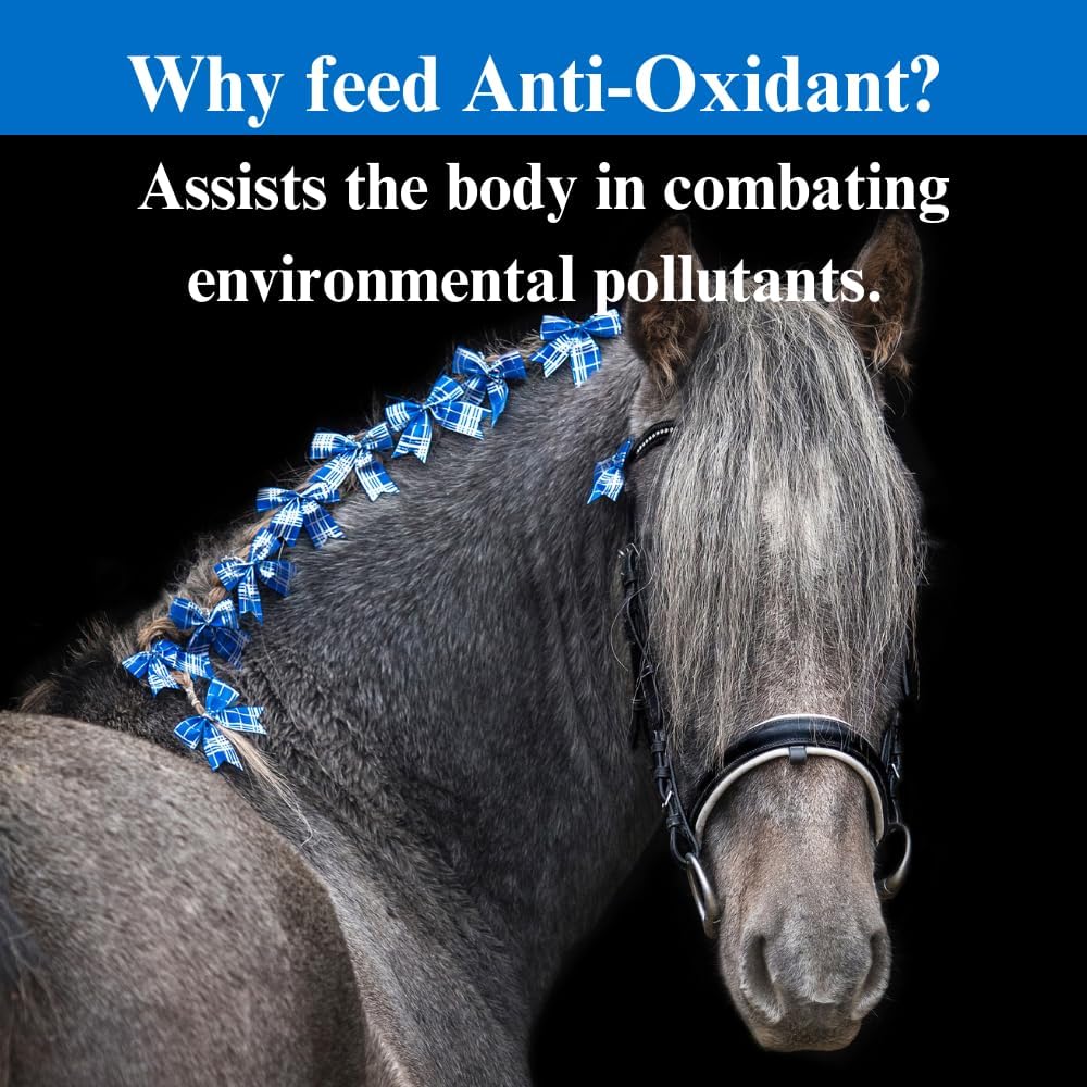 Equine Antioxidant Supplement - Supports Horse Health, Fights Pollutants & Oxidative Stress - 20lb, 5 Month Supply