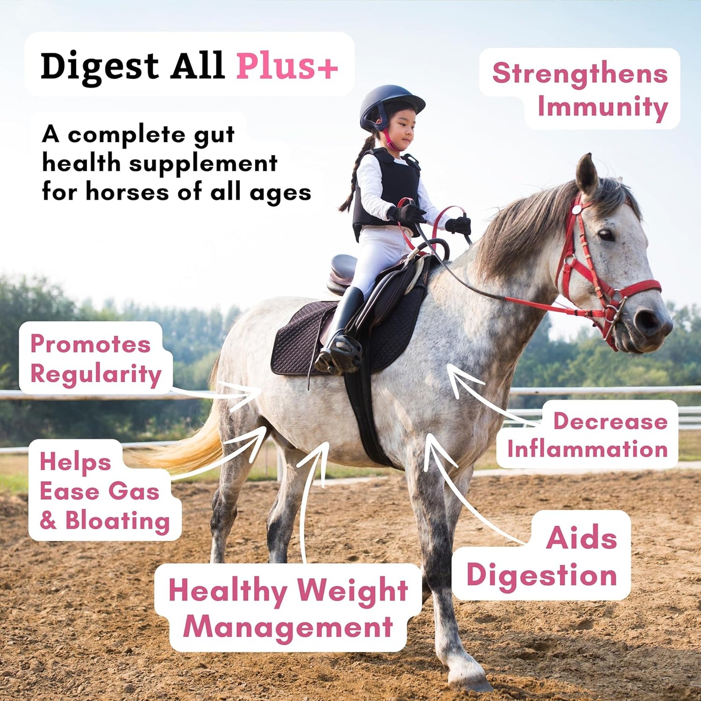 Equine Digestive Supplements: Wholistic Pet Organics Digest-All Plus - 1 Lb Powder for Horse Probiotics, Prebiotics, and Enzymes - Promotes Gut Health, Relieves Gas and Constipation