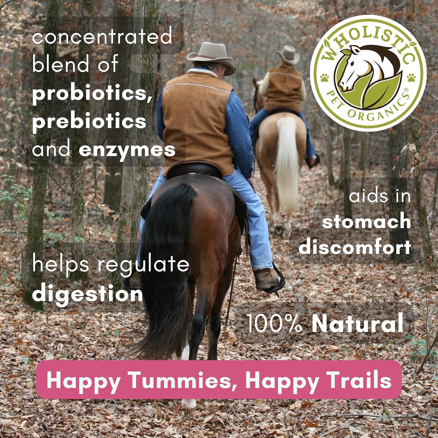 Equine Digestive Supplements: Wholistic Pet Organics Digest-All Plus - 1 Lb Powder for Horse Probiotics, Prebiotics, and Enzymes - Promotes Gut Health, Relieves Gas and Constipation