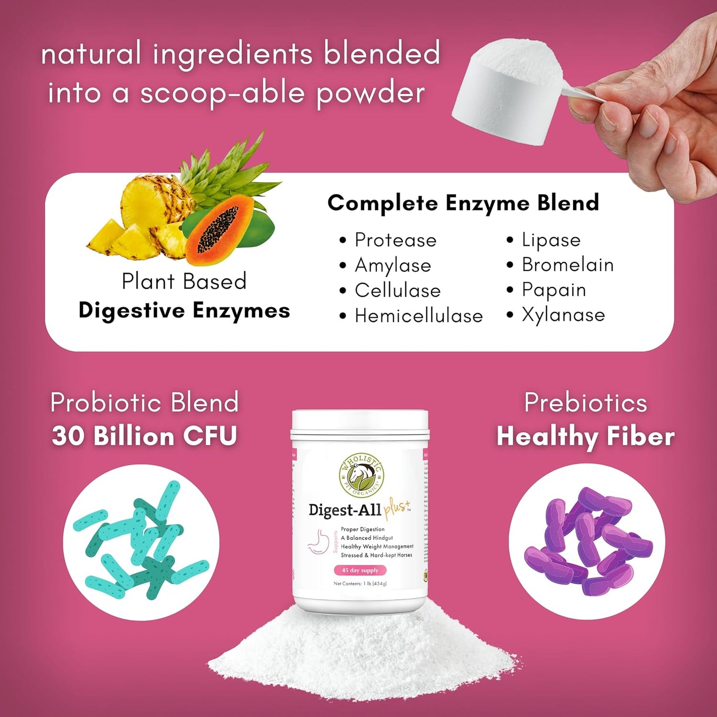 Equine Digestive Supplements: Wholistic Pet Organics Digest-All Plus - 1 Lb Powder for Horse Probiotics, Prebiotics, and Enzymes - Promotes Gut Health, Relieves Gas and Constipation