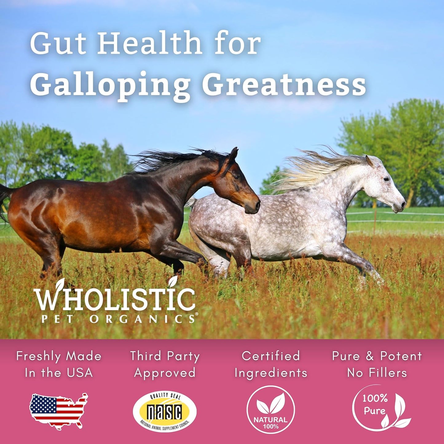 Equine Digestive Supplements: Wholistic Pet Organics Digest-All Plus - 1 Lb Powder for Horse Probiotics, Prebiotics, and Enzymes - Promotes Gut Health, Relieves Gas and Constipation