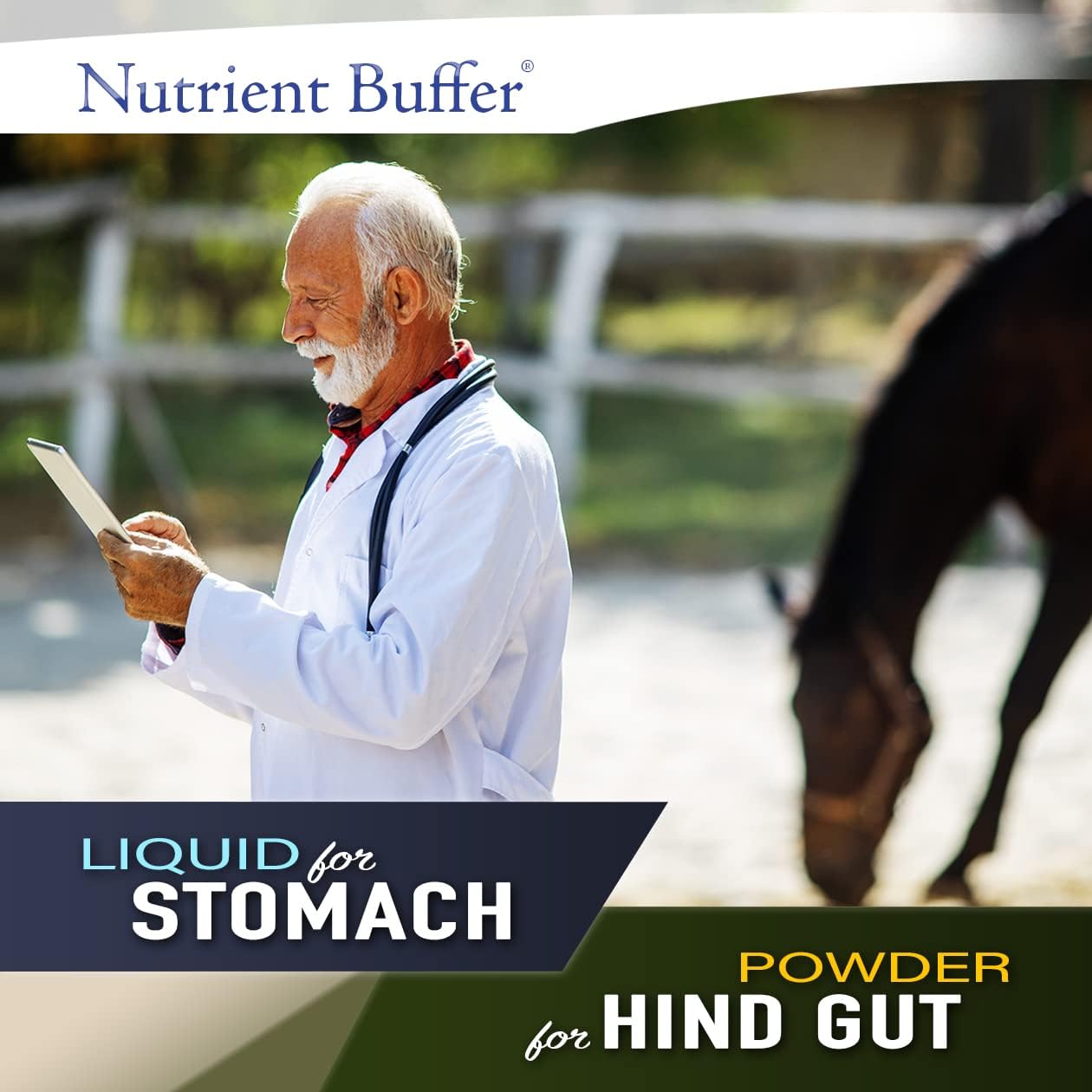 Equine Hind Gut Support Formula - Nutrient Buffer HG for Lower Gastric Digestion in Horses