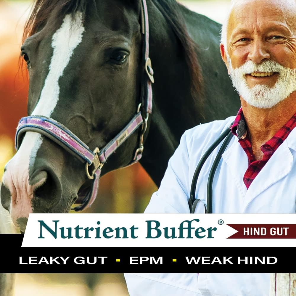 Equine Hind Gut Support Formula - Nutrient Buffer HG for Lower Gastric Digestion in Horses