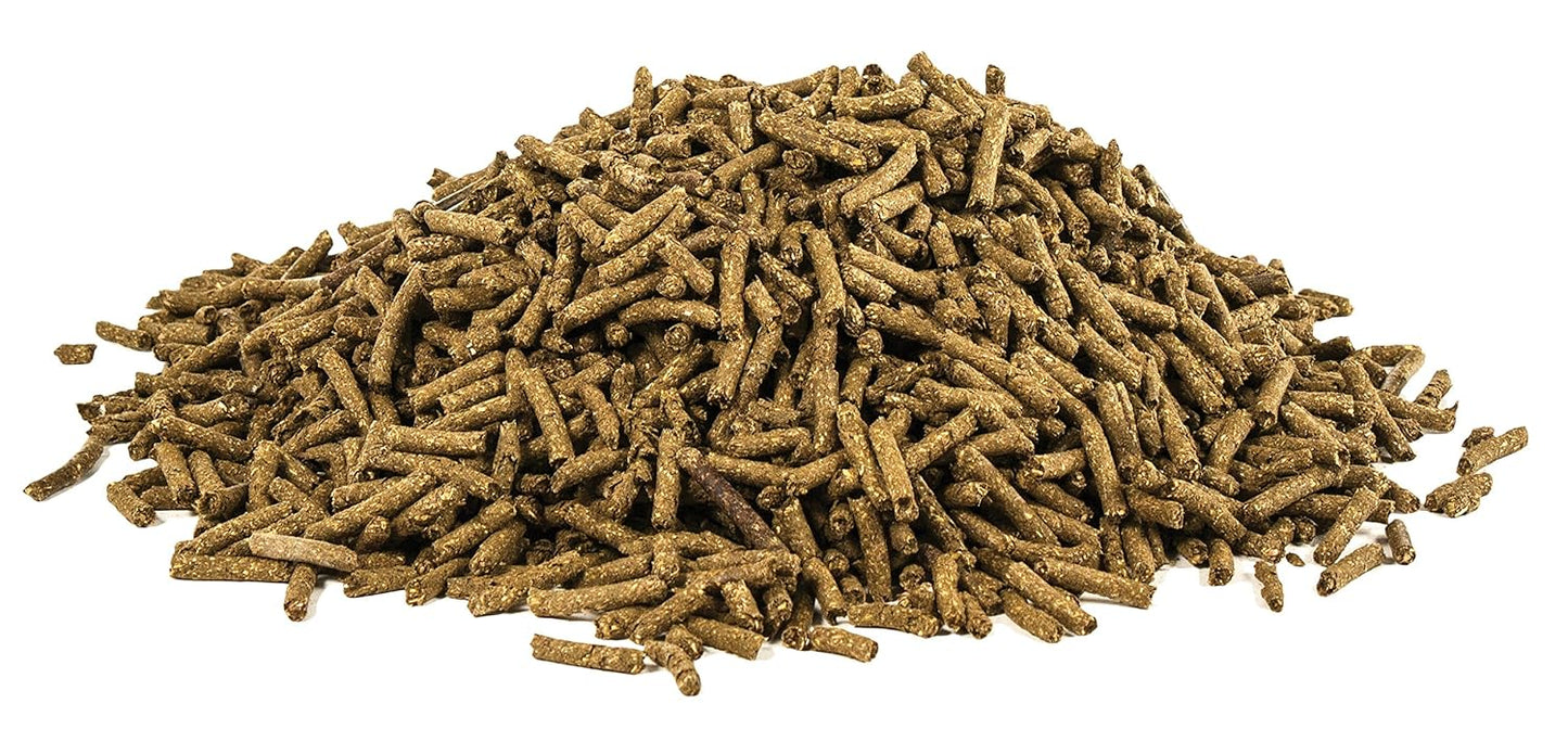 Equine Lysine Supplement for Horses - 10 lb. Pellet, 80 Day Supply by UltraCruz