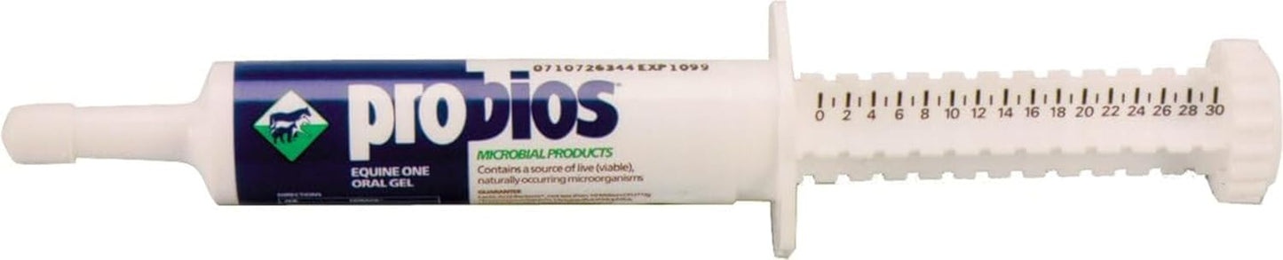 Equine Probiotic Gel for Horses - Vets Plus Probios Oral Supplement, Horse Health Aid, 30cc