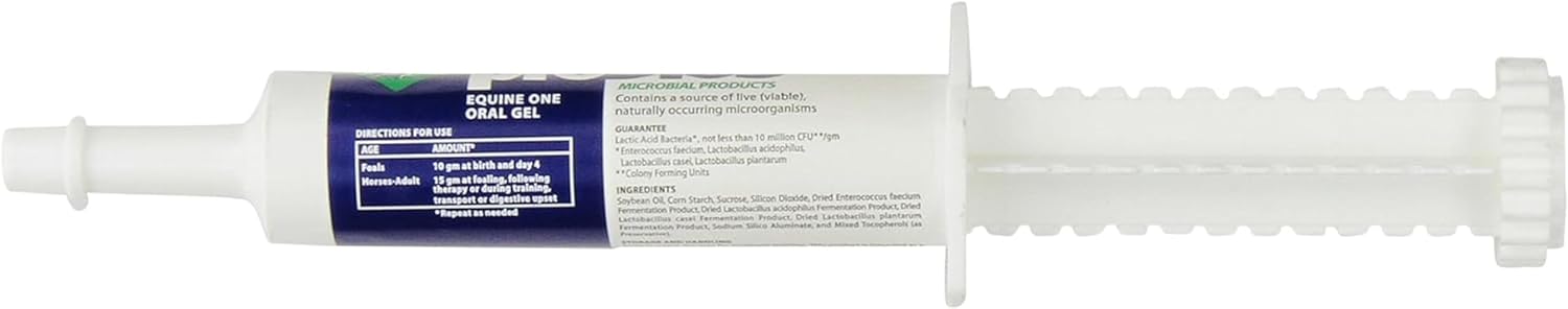 Equine Probiotic Gel for Horses - Vets Plus Probios Oral Supplement, Horse Health Aid, 30cc