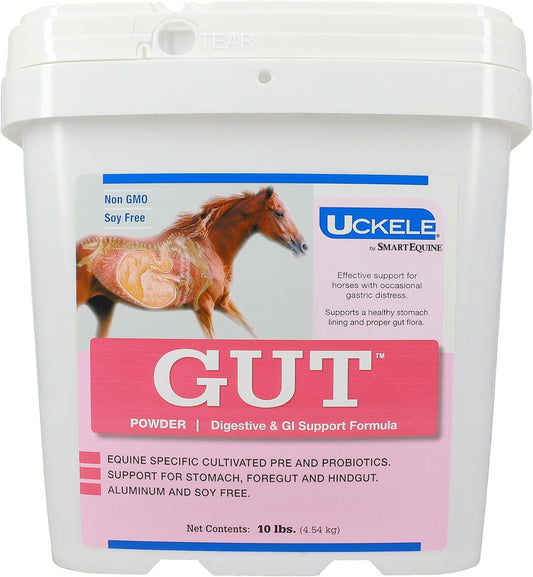 Equine Probiotic Powder for Healthy Horse Gut | Uckele Gut™ Powder by SmartPak | Prebiotic & Probiotic Supplement | 10 lb Bucket