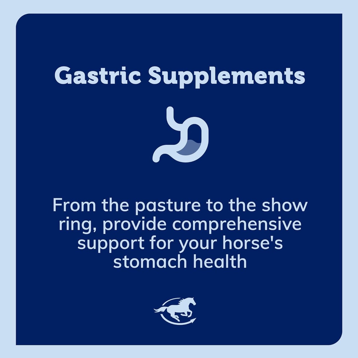 Equine Probiotic Powder for Healthy Horse Gut | Uckele Gut™ Powder by SmartPak | Prebiotic & Probiotic Supplement | 10 lb Bucket