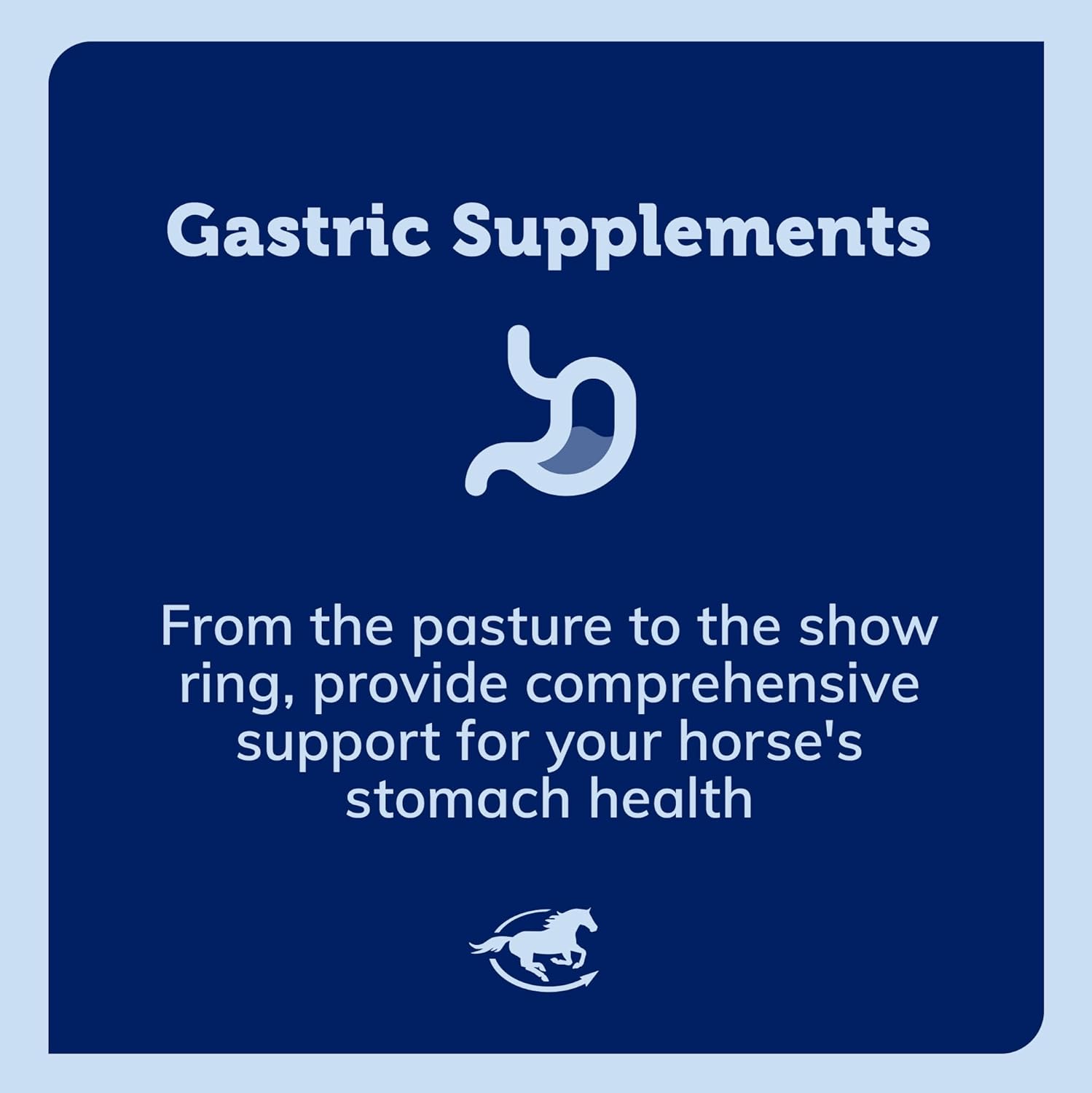 Equine Probiotic Powder for Healthy Horse Gut | Uckele Gut™ Powder by SmartPak | Prebiotic & Probiotic Supplement | 10 lb Bucket