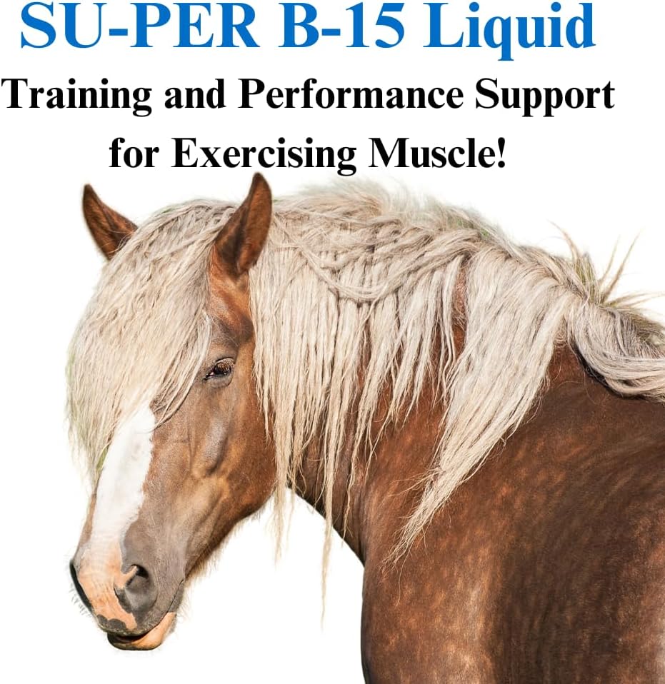 Equine Vitamin B-15 Liquid Supplement for Horses - Supports Cardiovascular, Immune, and Muscle Function - 1 Gallon, 120-Day Supply