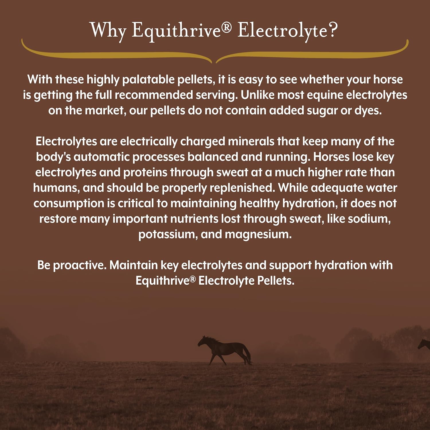 Equithrive Electrolyte Pellets for Horses - Vitamins & Minerals Supplement - .5 lbs, 3 Day Supply