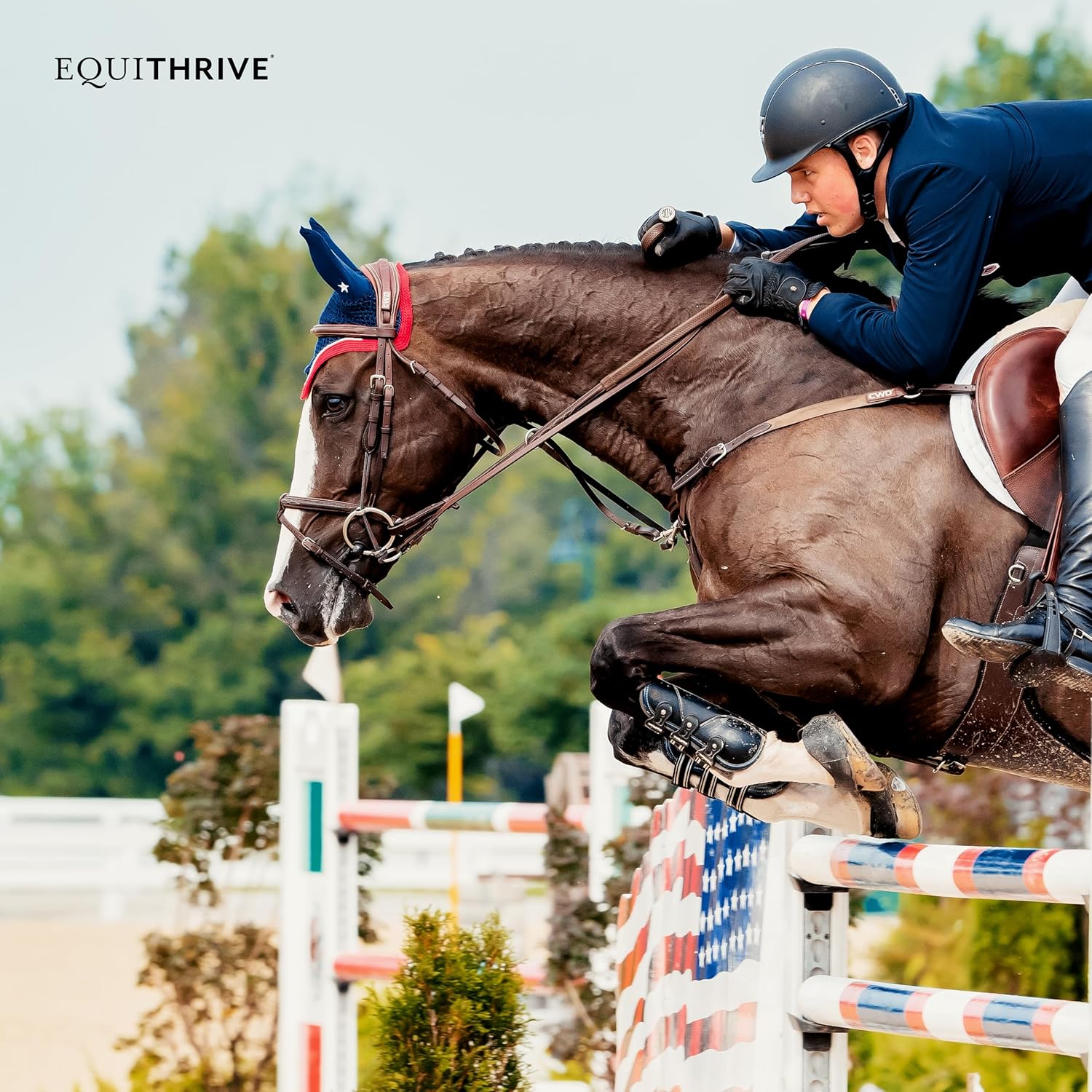 Equithrive Electrolyte Pellets for Horses - Vitamins & Minerals Supplement - .5 lbs, 3 Day Supply