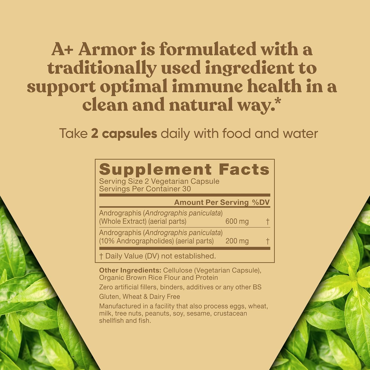 Eu Natural A+ Armor Andrographis Pure 800 Mg Capsules - Boost Immune System, Physical Wellness, Seasonal Protection - Full-Spectrum & Standardized Vegan Supplement - BoostGo Australia