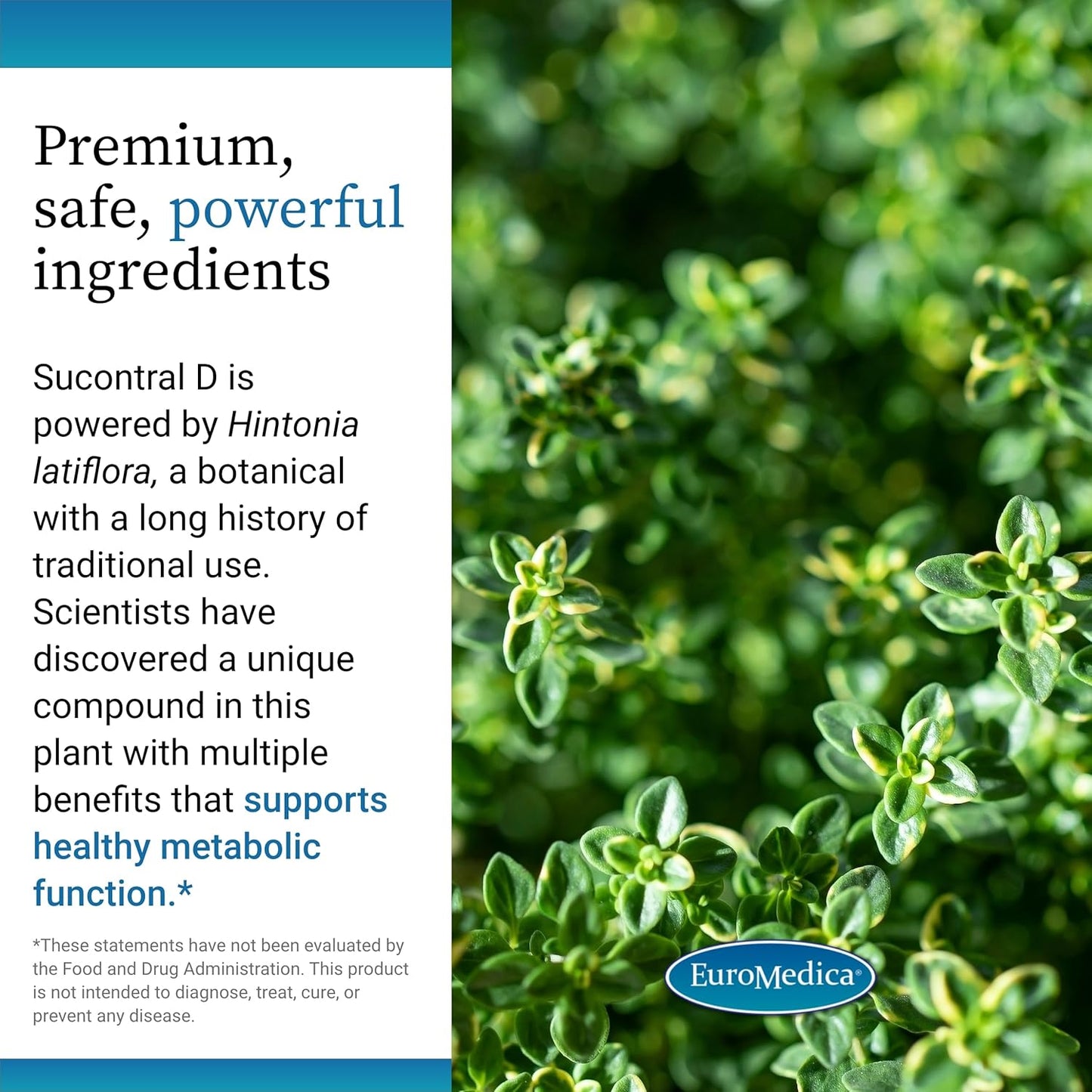 Euromedica Sucontral D Capsules - 60 Count - Non-GMO, Vegan Formula - 60 Servings