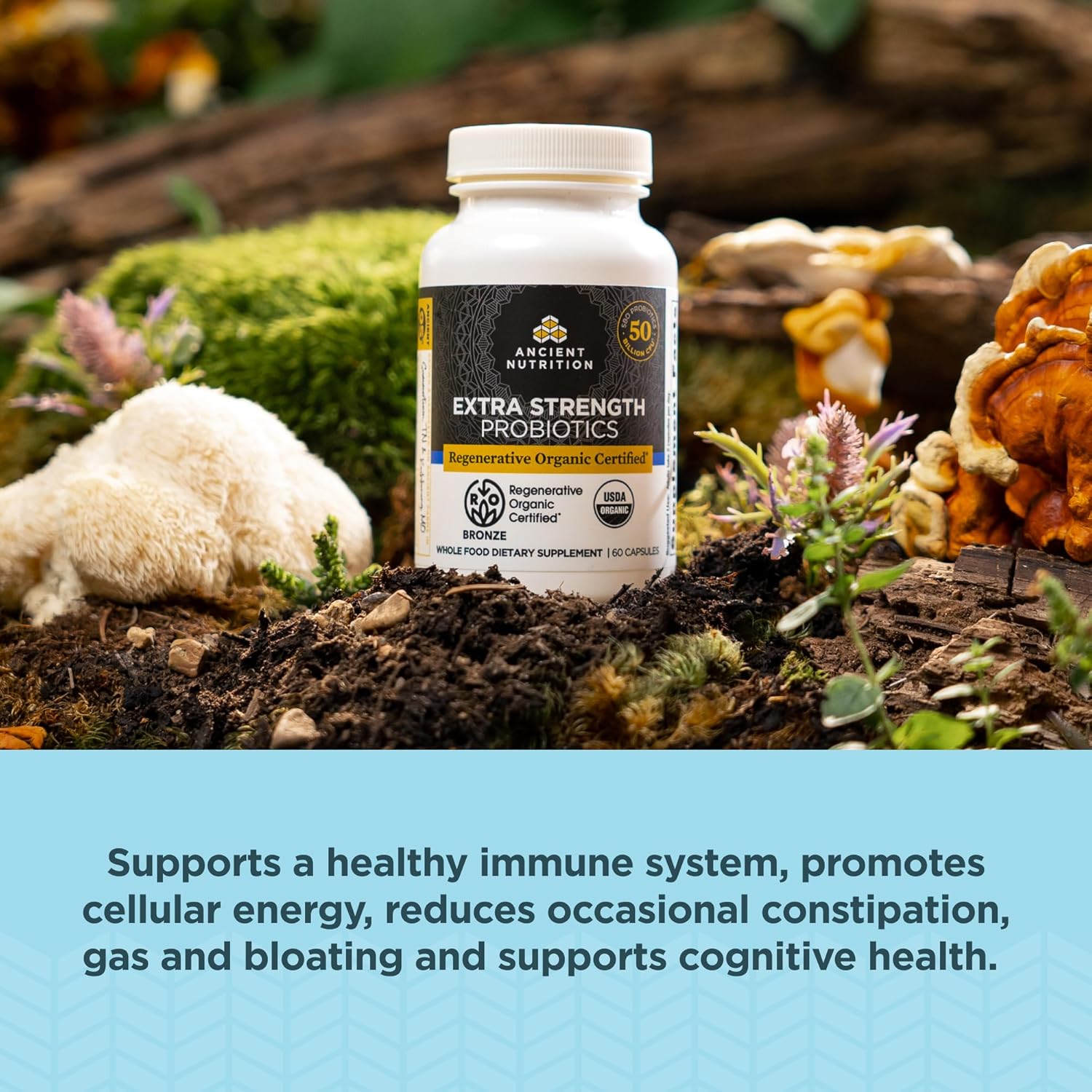 Extra Strength Ancient Nutrition Regenerative Organic Certified Probiotics - 60 Count, 50 Billion CFUs for Digestion & Immune Support