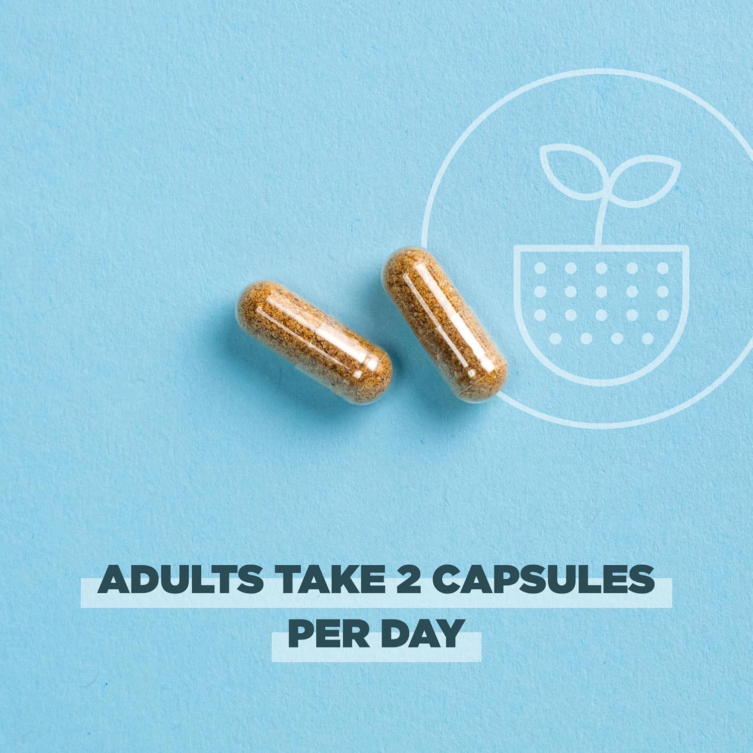 Extra Strength Ancient Nutrition Regenerative Organic Certified Probiotics - 60 Count, 50 Billion CFUs for Digestion & Immune Support