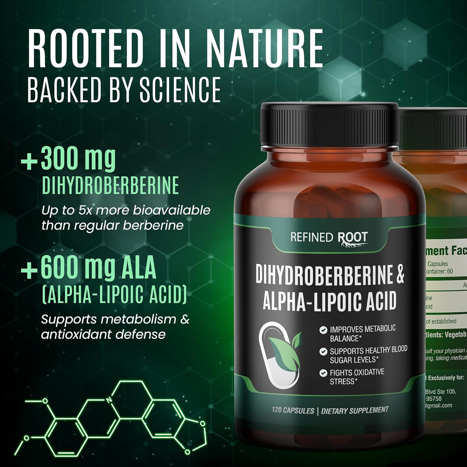 Extra Strength Dihydroberberine with Alpha Lipoic Acid - 300mg Berberine Supplement for Optimal Health - Advanced Root Blend for Wellness
