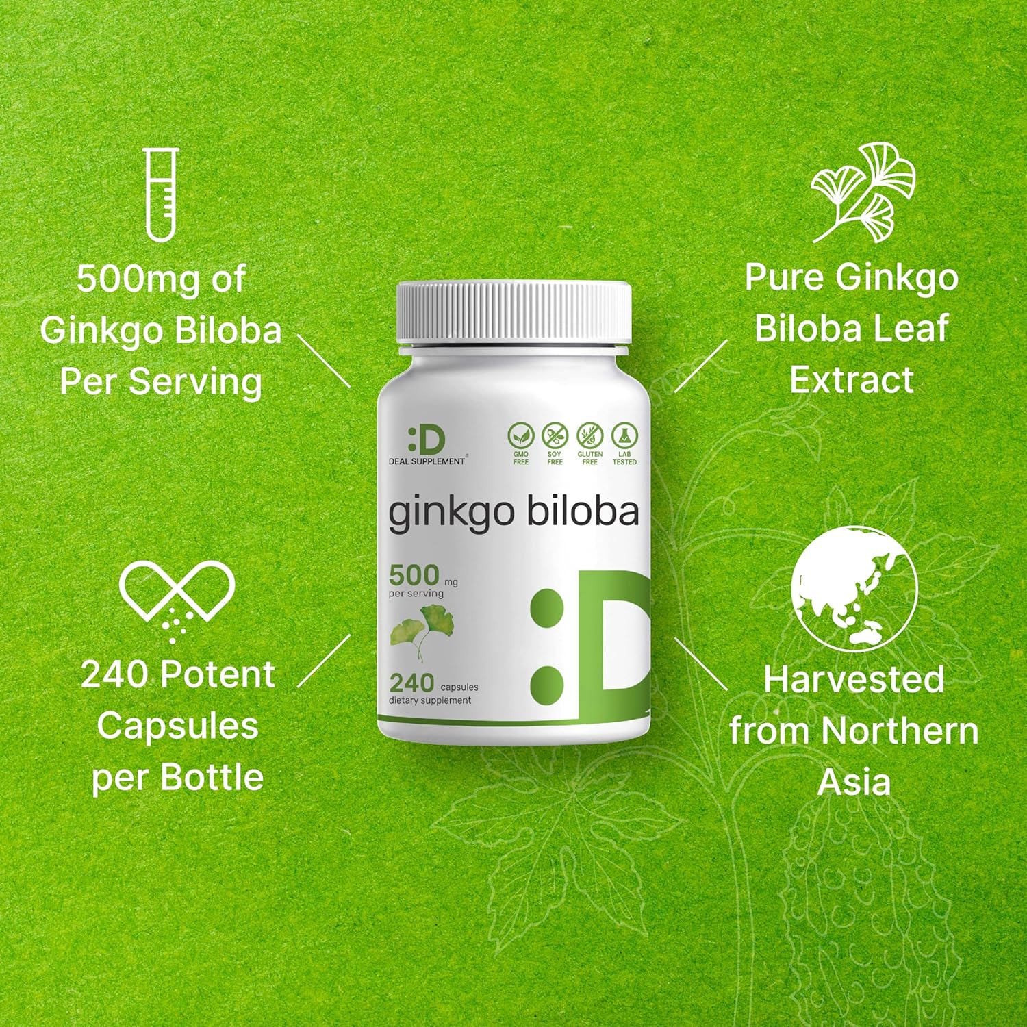 Extra Strength Ginkgo Biloba 500mg Capsules - 240 Count - 4 Month Supply - Promotes Brain Function - Premium Quality Supplement from Northern Asia