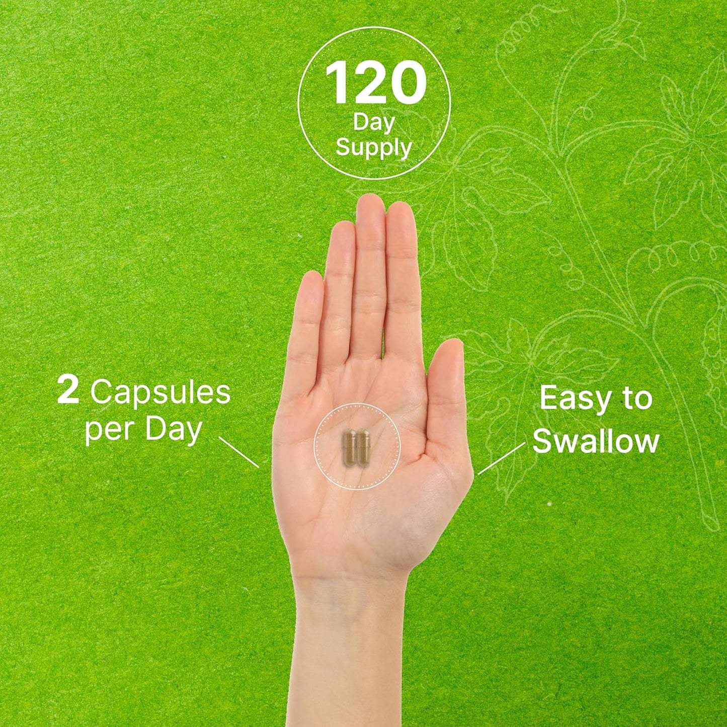 Extra Strength Ginkgo Biloba 500mg Capsules - 240 Count - 4 Month Supply - Promotes Brain Function - Premium Quality Supplement from Northern Asia