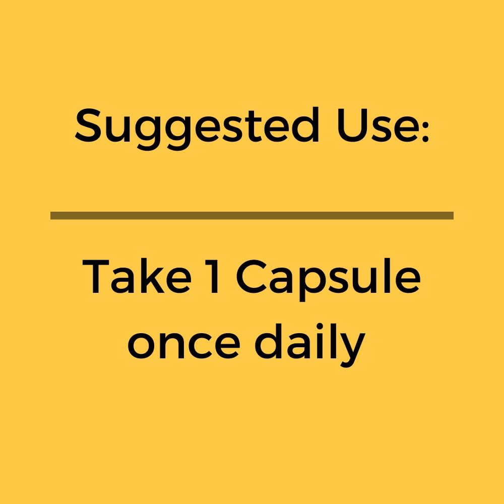 Extra Strength Natgrown Ginkgo Biloba Extract Capsules - 120mg - 120 Count