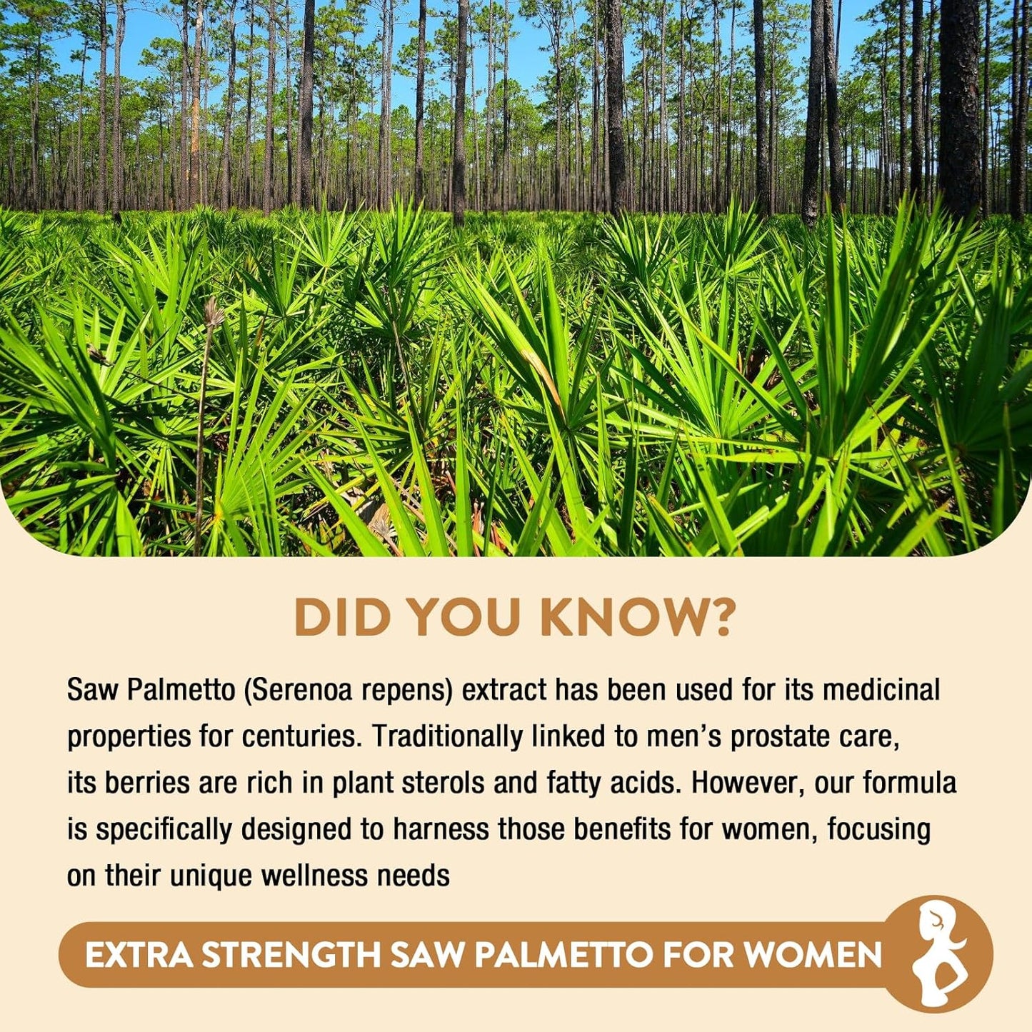 Extra Strength Saw Palmetto for Women - DHT Blocker for Hair Growth, Skin & Nails - 90 Capsules