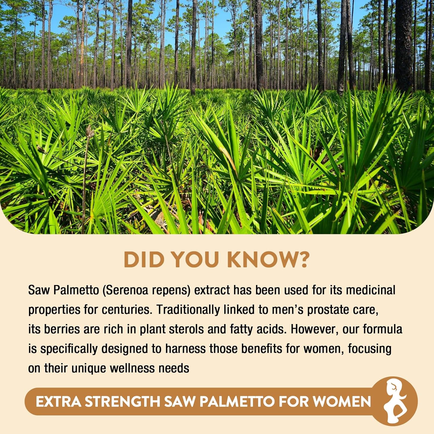 Extra Strength Saw Palmetto for Women - DHT Blocker for Hair Growth, Skin & Nails - 90 Capsules