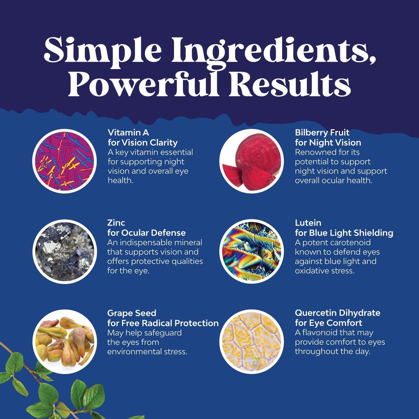 Eye Health and Calcium Bundle: Supplements for Vision, Dry Eyes, Blue Light Protection, Bone Health, and Immune Support