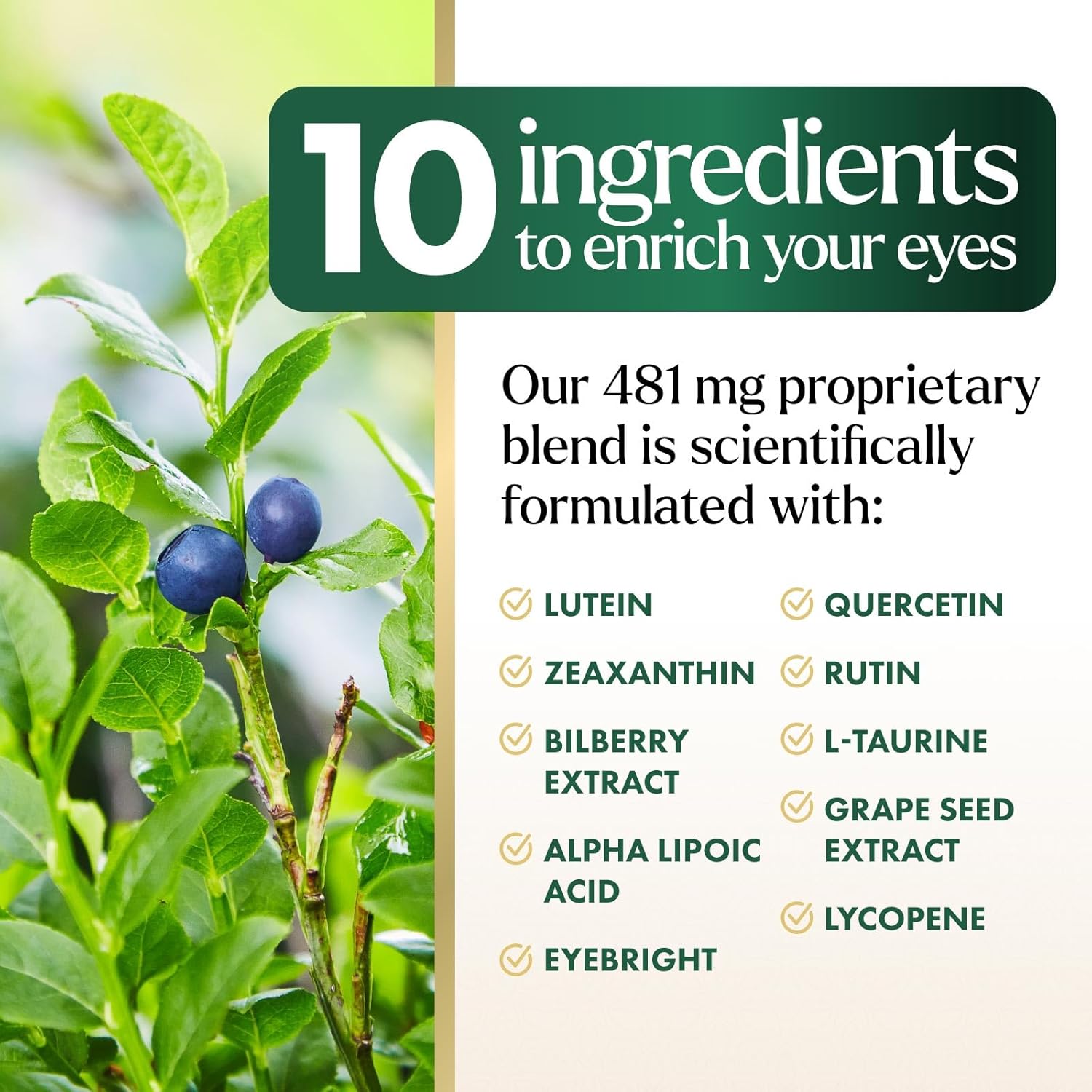 Eye Health Supplement with Zinc, Vitamins C & E, Lutein, Zeaxanthin - 60 Capsules, Non-GMO Vegan Formula for Adults - BoostGo Australia