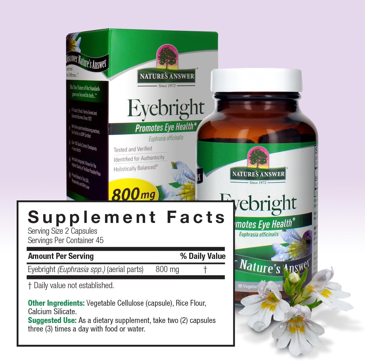 Eyebright Herb 800mg Capsules - 90 Count | Promotes Eye Health | Non-GMO, Alcohol-Free, Gluten-Free, Kosher Certified & Preservative-Free | Nature's Answer