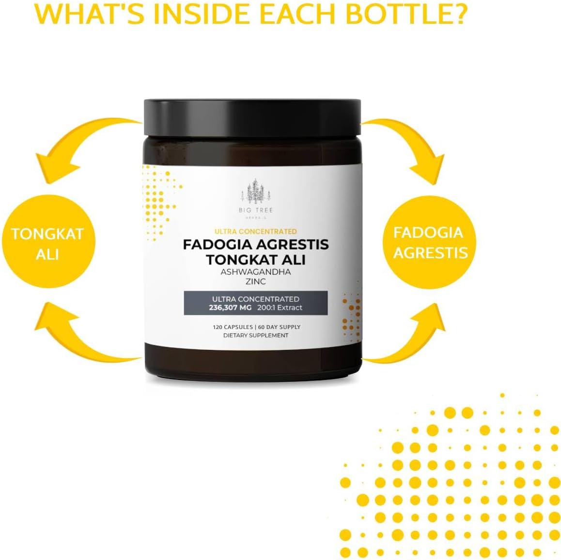 Fadogia Agrestis Extract Capsules with Tongkat Ali, Ashwagandha, Zinc - 236,307mg 200:1 Concentration - Energy & Muscle Support Dietary Supplement - 120 Capsules