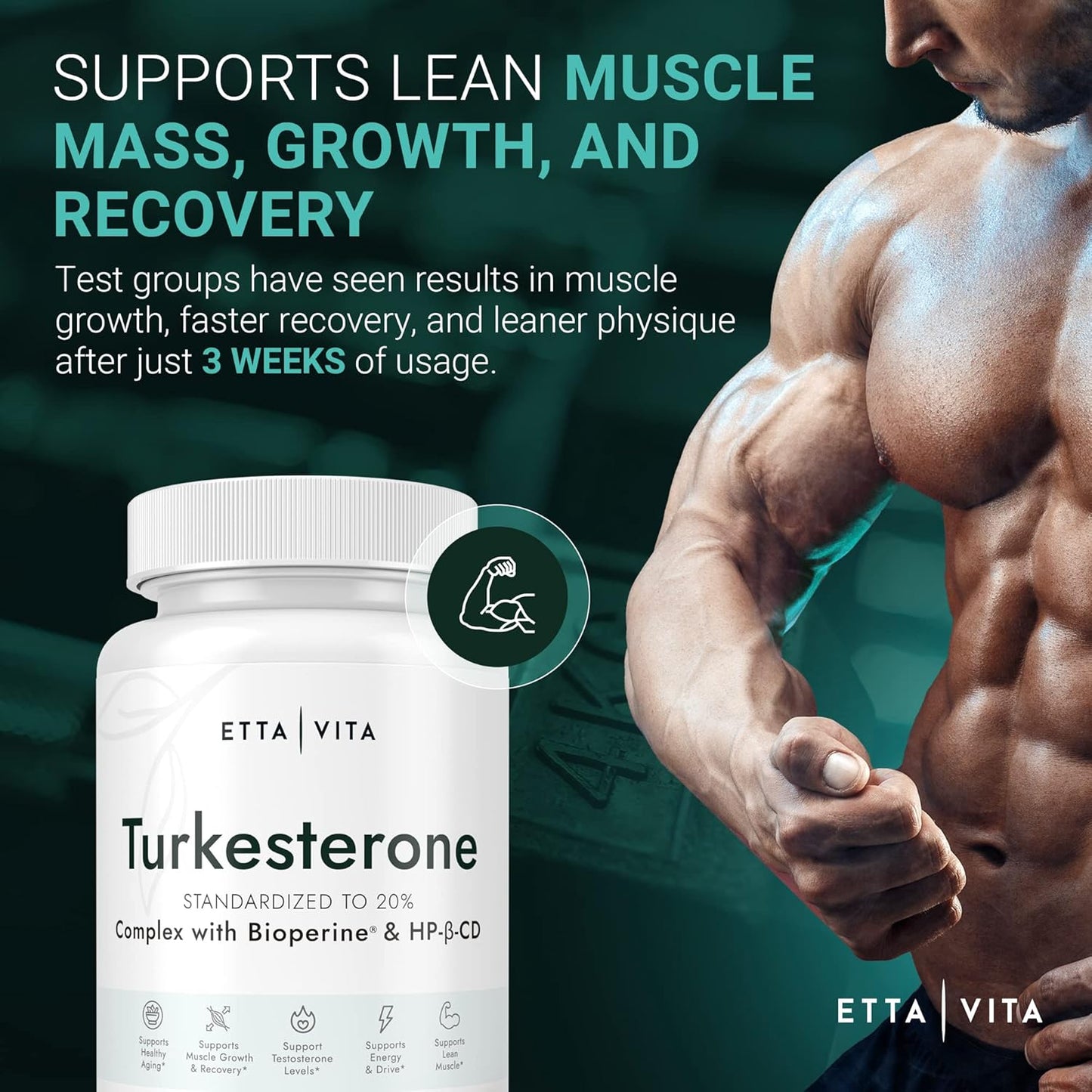 Fadogia Agrestis & Turkesterone Bundle with N-Acetyl Cysteine, Enhanced Absorption Formula with BioPerine & HP-β-CD, Antioxidant Support with Quercetin & Selenium