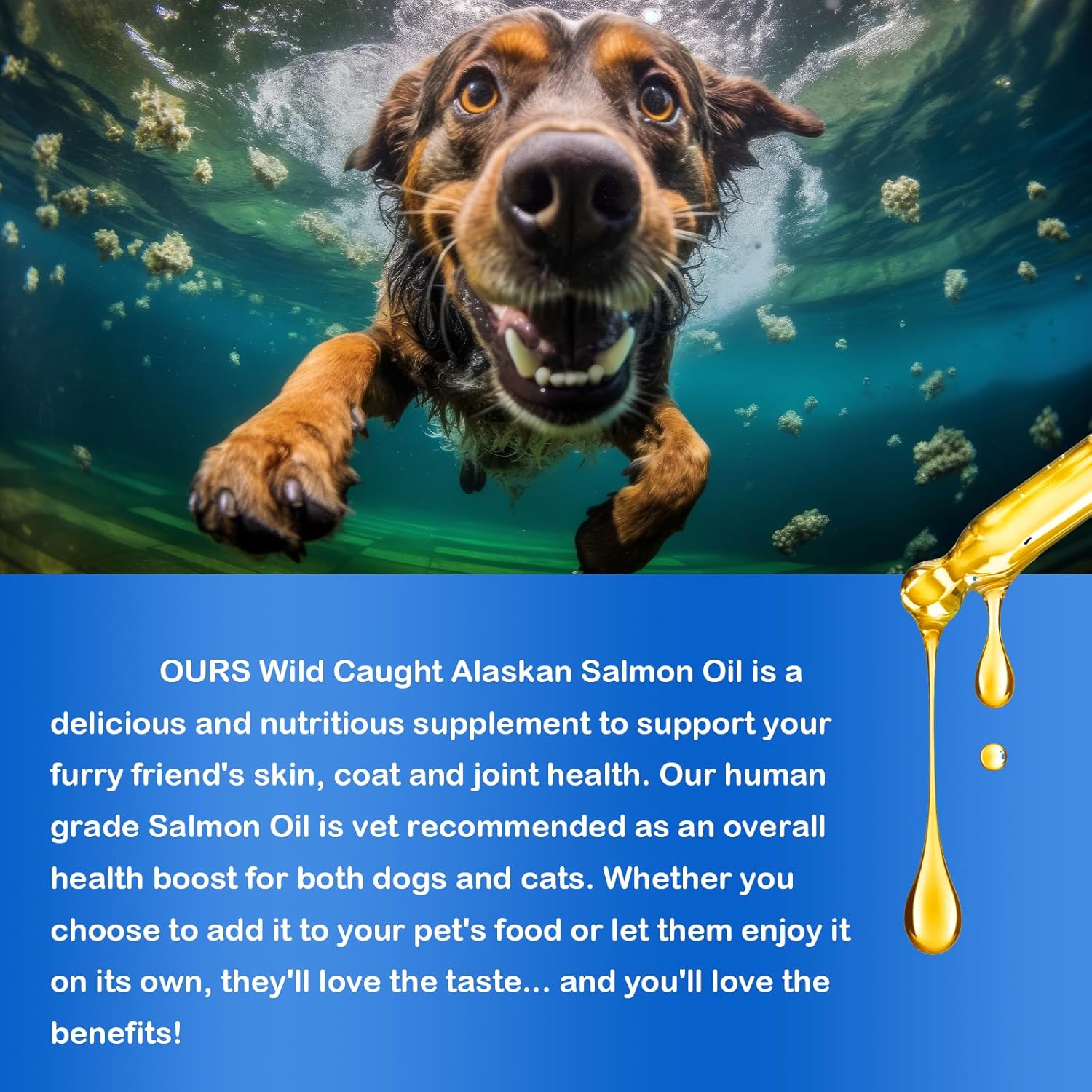 FANGCUN Alaskan Salmon Oil Liquid Supplement for Dogs, Omega 3 Fish Oil with EPA+DHA Fatty Acids for Skin & Coat Health, All Breeds & Ages 8.8fl.oz.