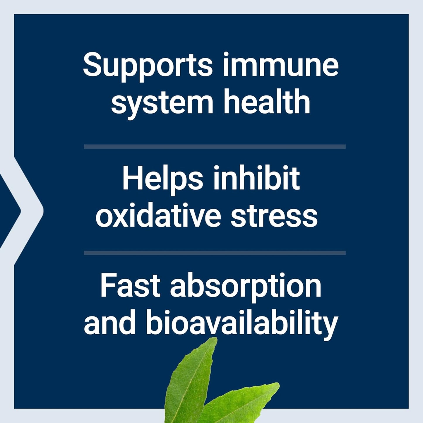 Fast Absorption Life Extension Fast-C® and Bio-Quercetin® Tablets for Immune Support with Vitamin C, Fenugreek, and Magnesium, 60 ct, Gluten-Free, Non-GMO, Vegetarian