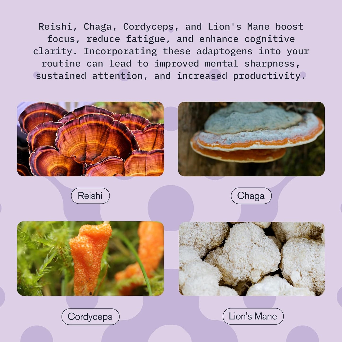 Fast-Acting Mushroom Supplement Drink for Adults - Vitality Blend with Cordyceps, Reishi, Chaga, Lion’s Mane, Ashwagandha - Chai Spice Flavor - 2 fl oz (12 Pack)