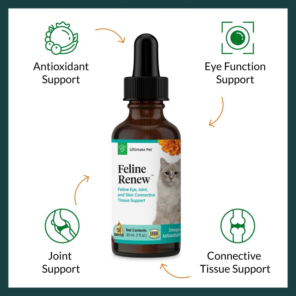 Feline Renew: Omega-3 Support Supplement for Cats - Immune, Joint, Skin Health - 30 Servings