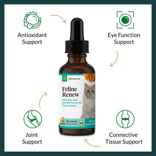 Feline Renew: Omega-3 Support Supplement for Cats - Immune, Joint, Skin Health - 30 Servings
