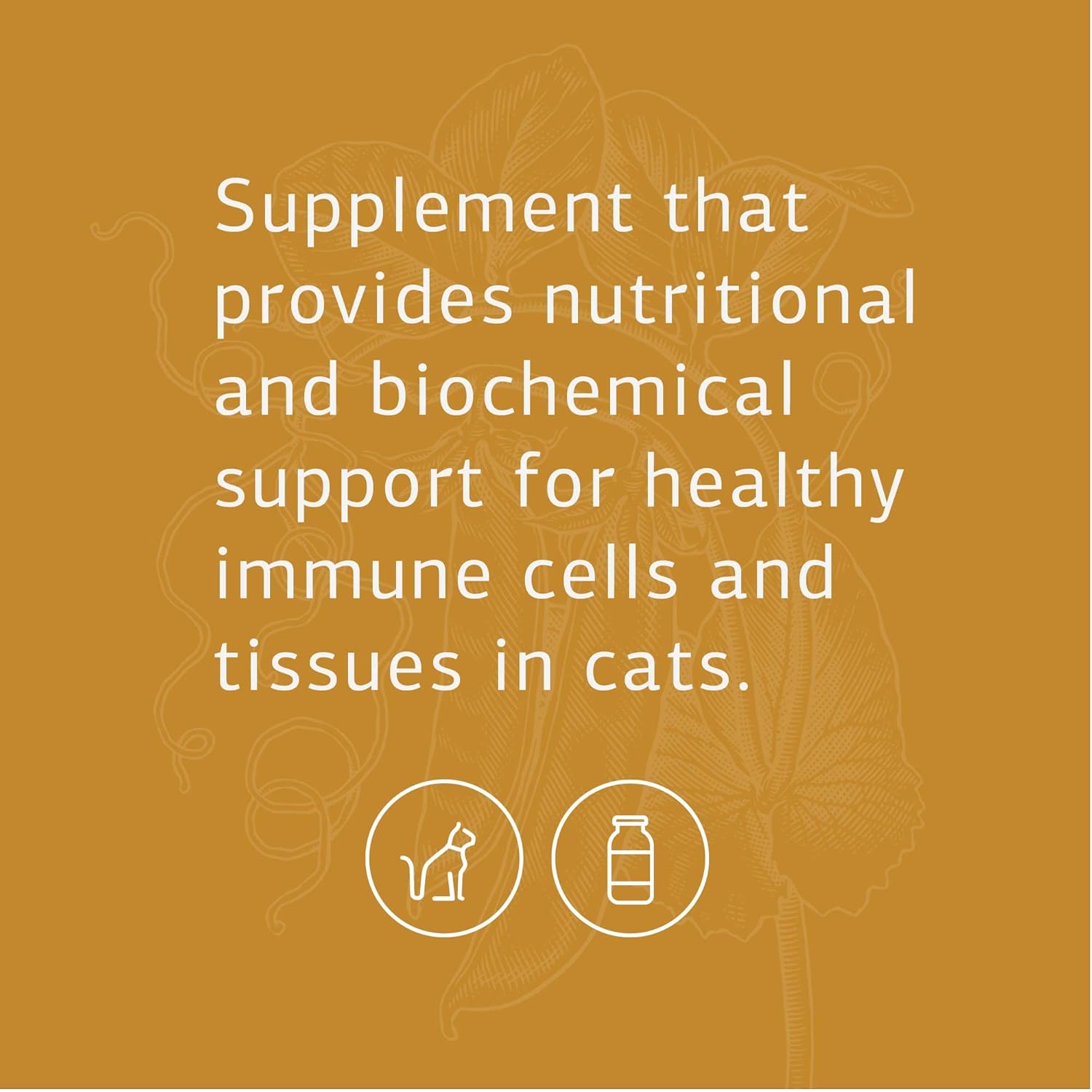 Feline Vitality Bundle: Whole Food Supplement Kit for Cats - Supports Immune & Urinary Health